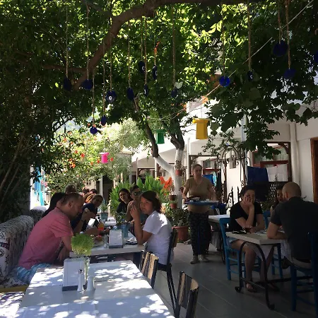 Miss Karya * Орен